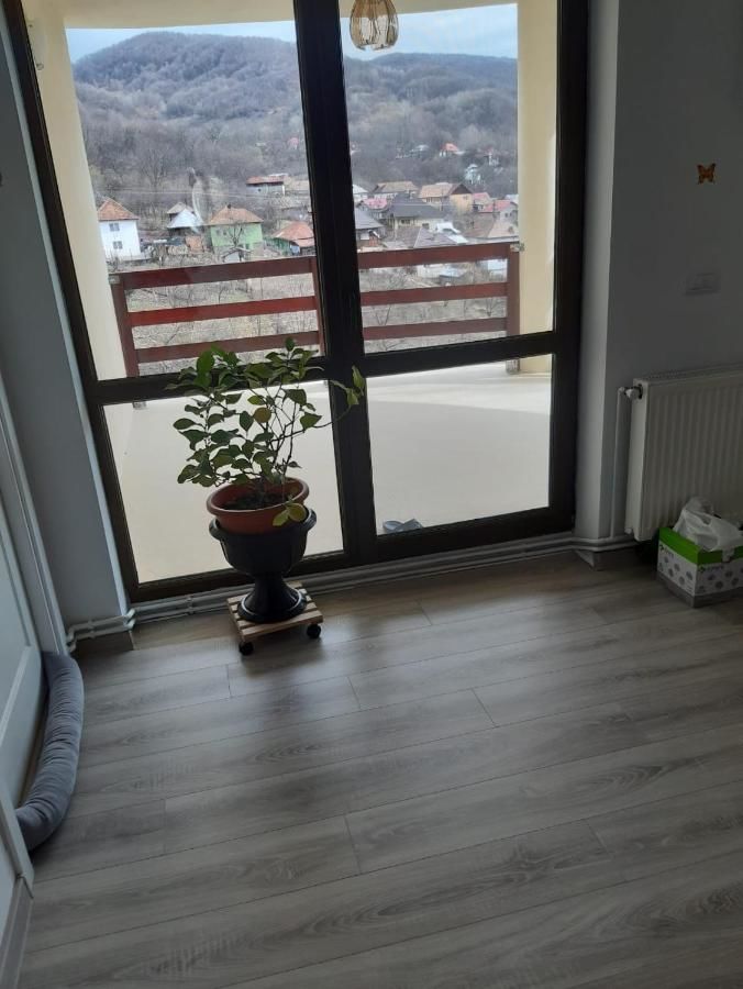 Проживание в семье CASA RELY Бэи­ле-Олэ­неш­ти-39